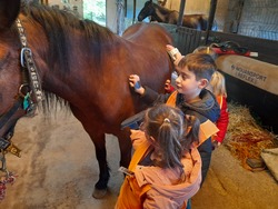 maternelle : activité Poney - séance 1