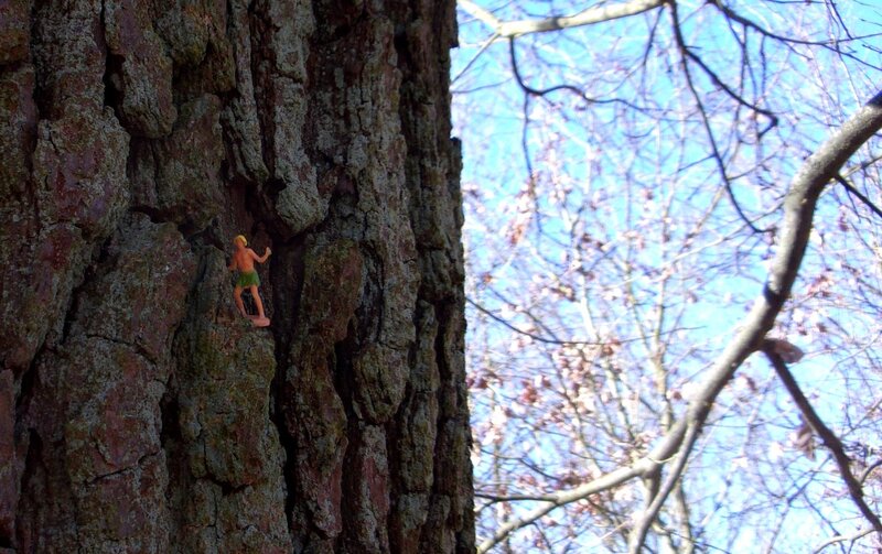 Aujourd'hui : exploration dans le Bois de Vincennes pendant un hiver bien trop doux