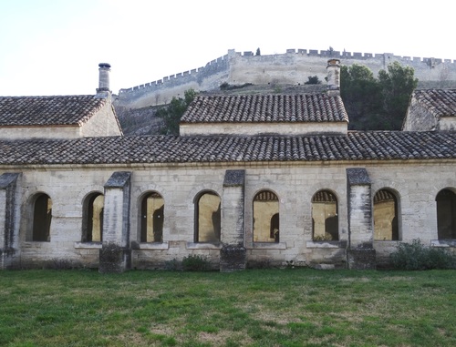 La grande Zarteuse de Villeneuve-les-Avignon (photos)