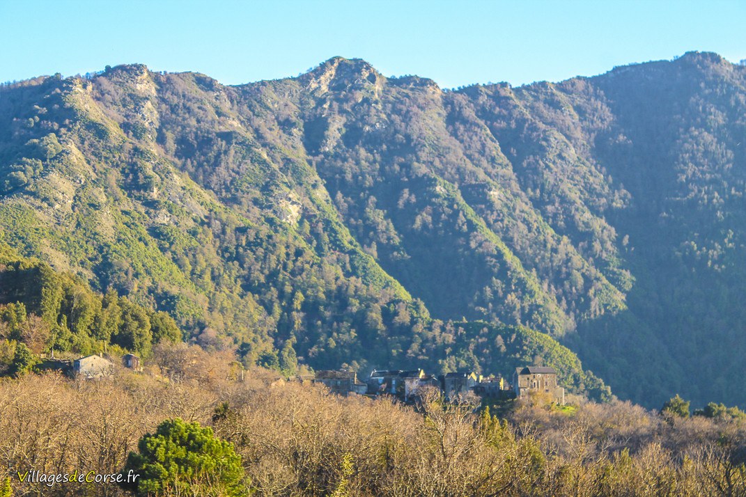 RÃ©sultat de recherche d'images pour "san damiano corse"