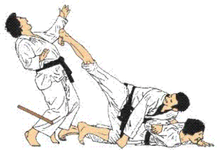 Présentation générale du Jujutsu