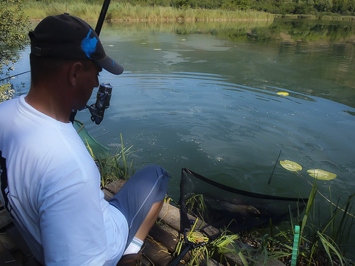 Reprise de la pêche en étang aprés 6 ans de pause : septembre 2016 - Saint jean de chevelu