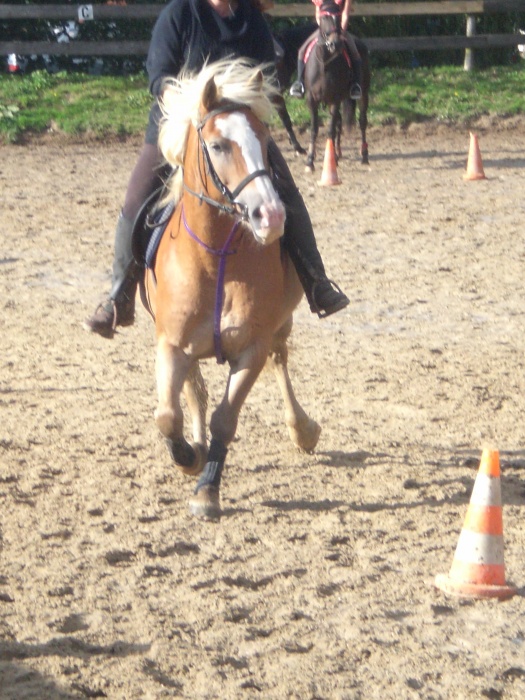 Poney games du 29/09/12 - photos de Lisa