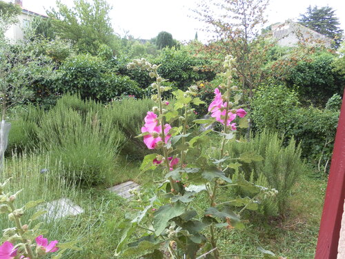 Notre  Jardin : 8ans