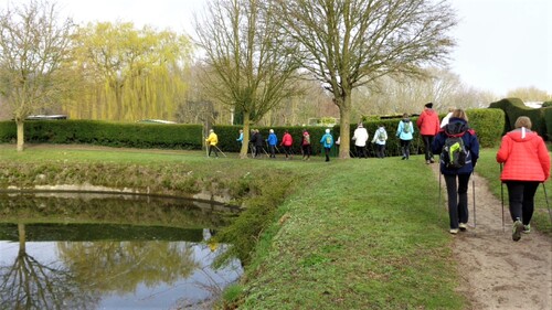 Bergues-bois des forts 19/03/19 : les photos