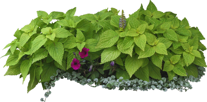 Resultado de imagen para tubes png