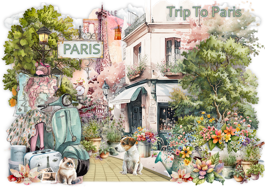 Blondinette : Trip to Paris