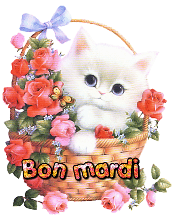 Gifs Bon Mardi Page 33 | 可愛すぎる動物, 子猫, かわいい子猫