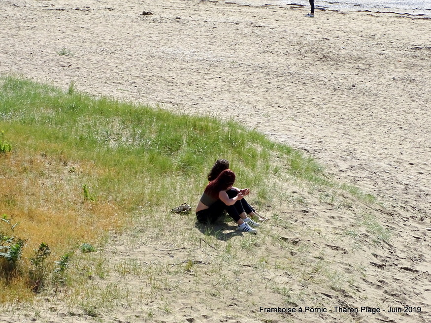Journée d'été à Tharon plage  (44)