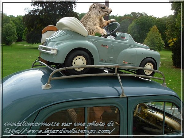 Sittelle4CV-Marmotte.JPG