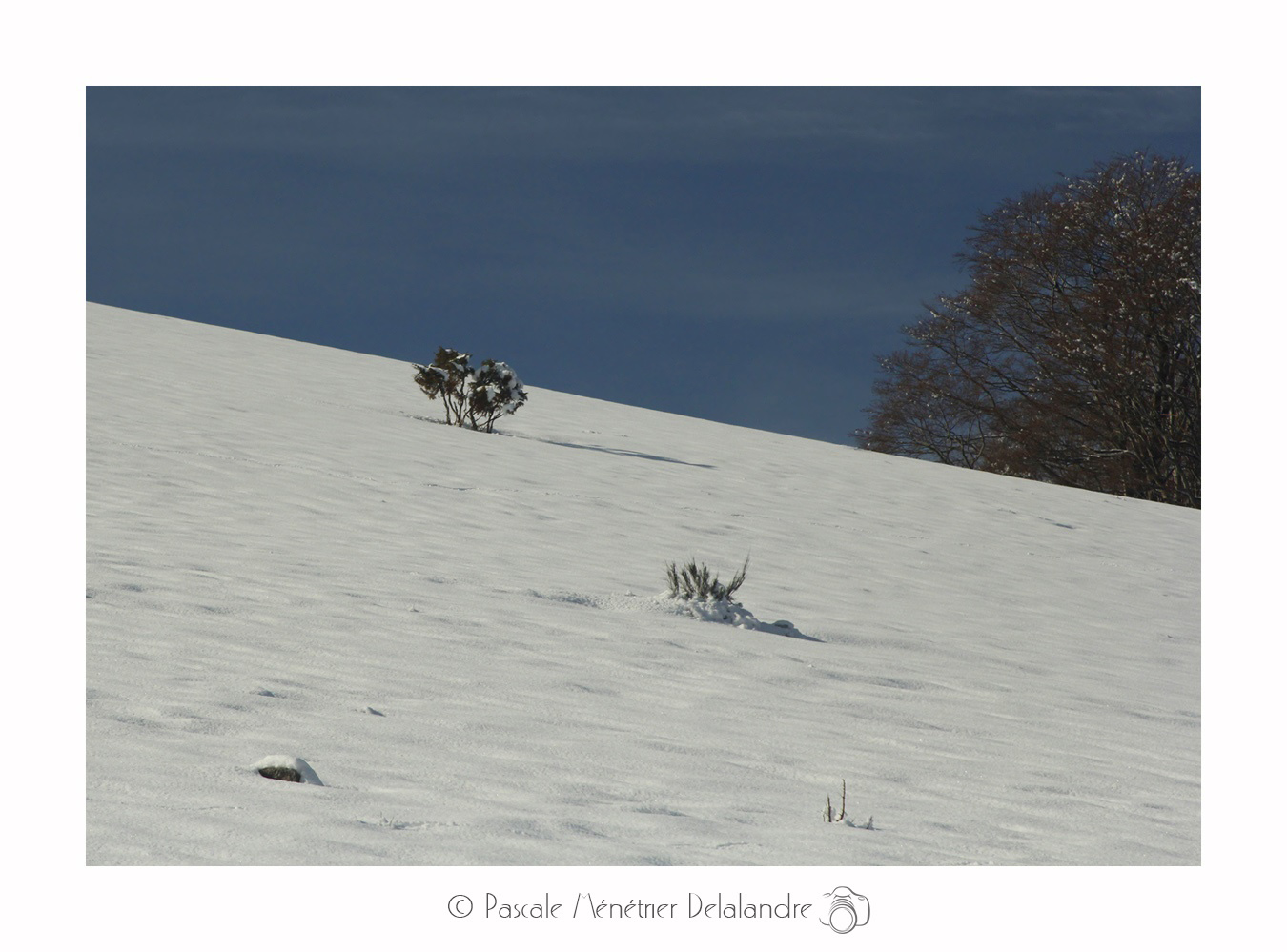 Paysages Du Mont Aigoual en hiver