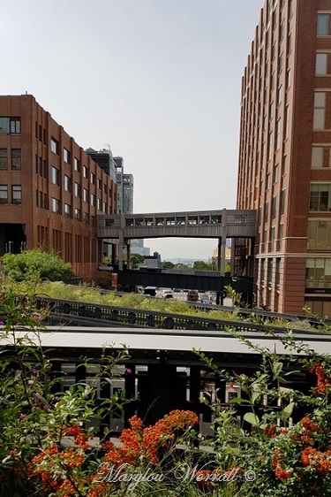 New York : The High Line 1/3