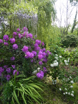 Mon jardin dans l'ensemble 