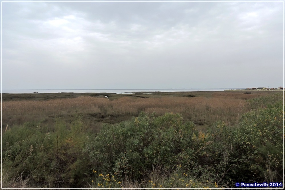 Sur le sentier du littoral de Gujan Mestras à La Hume - 2/4