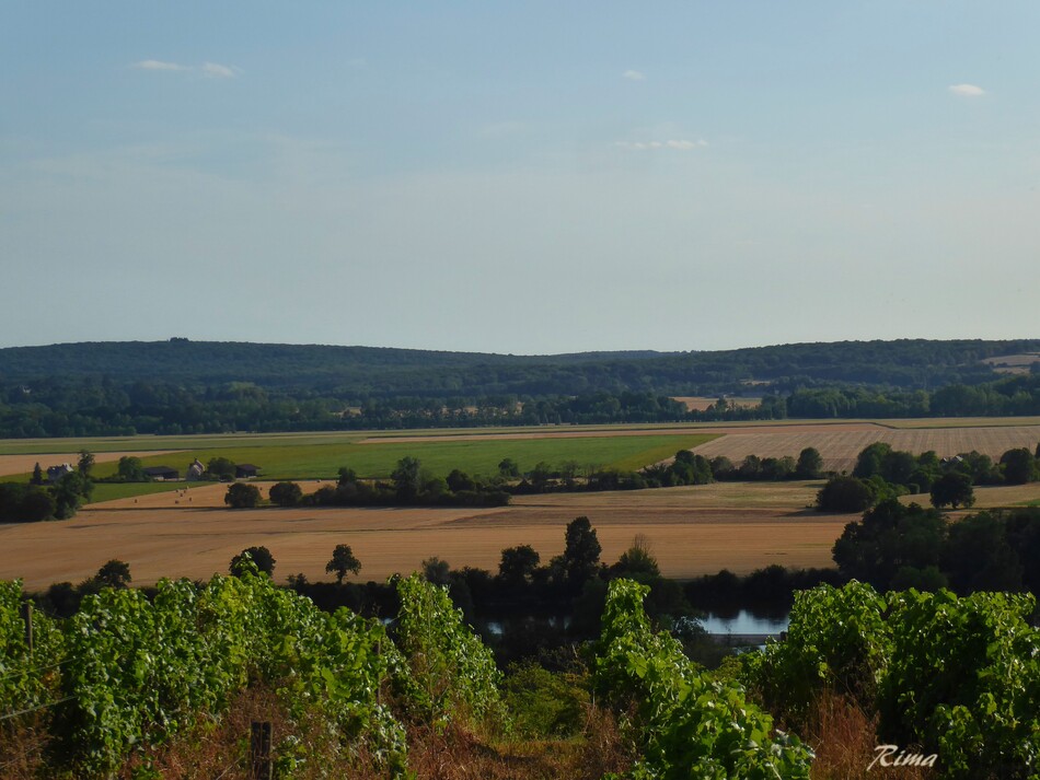 Pouilly dans la Nièvre,