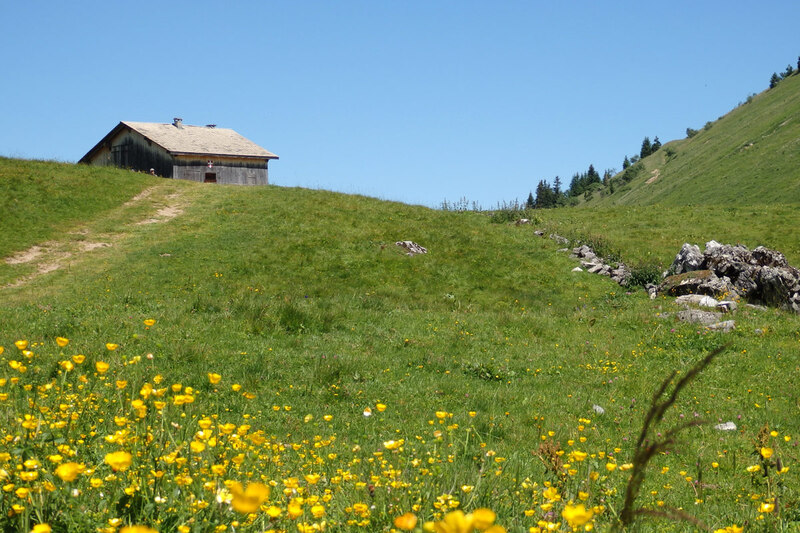 le lac de Chamossière