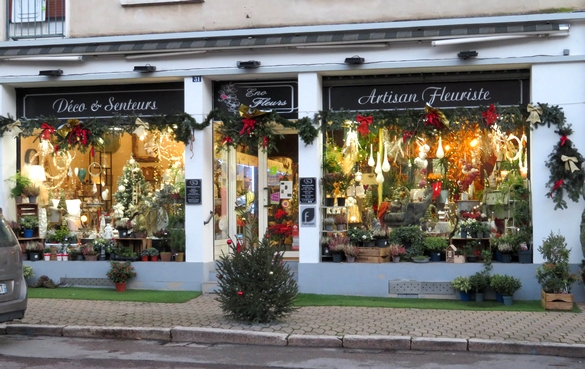Quelques belles vitrines des commerces de Châtillon sur Seine, décorées pour les Fêtes de 2023....