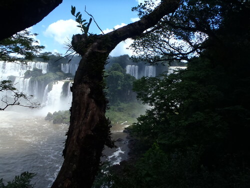 Les chutes d'Iguazú, grandioses !
