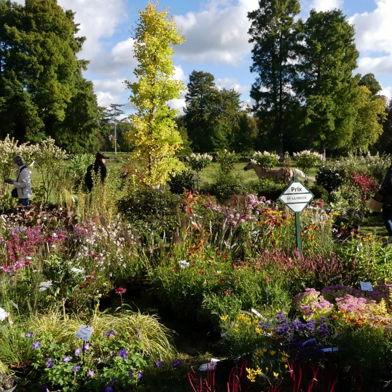 Journées des Plantes d'automne de Chantilly : Le monde dans mon jardin...