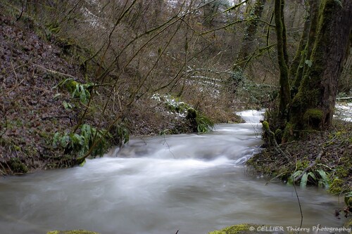 Un ruisseau en hiver ! - Saint jean de chevelu - savoie - Février 2019