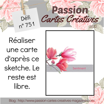 Passion Cartes Créatives#751 !