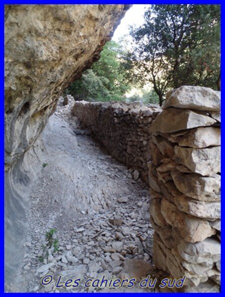 La combe de Curnier, combe de Bouisse