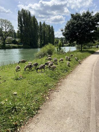 un petit tour au bord de l'eau, pour mes jeunes .. 