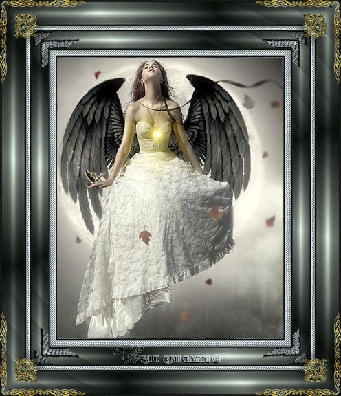 Cadres anges et fées 11