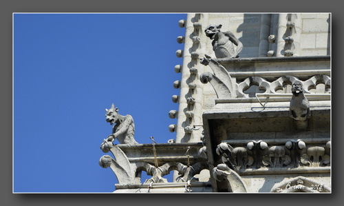Les Gargouilles de Notre-Dame de Paris