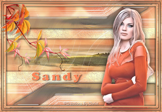 Sandy