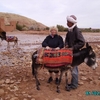 aït ben haddou - jo et aliboron, sains et saufs