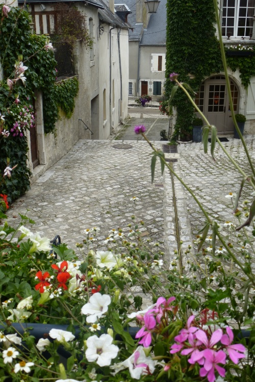  VISITE DE BEAUGENCY EN PHOTOS ......