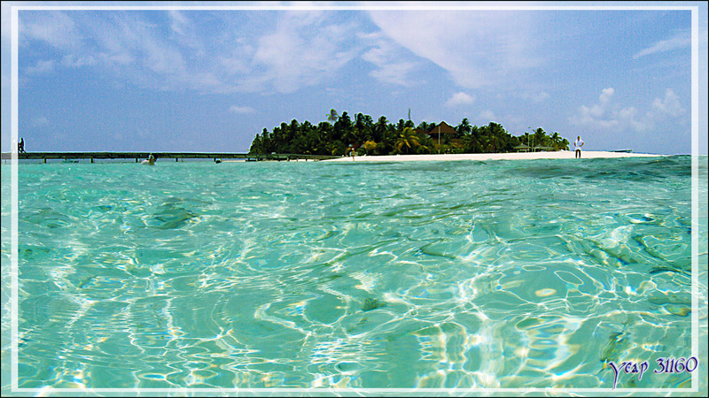 Retour de snorkeling à l'île-hôtel Athuruga - Atoll d'Ari - Maldives