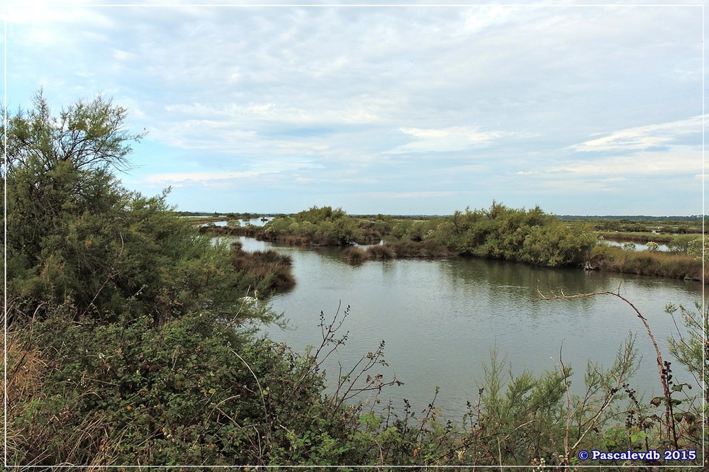 Tour du domaine de Certes - Octobre 2015 - 4/10