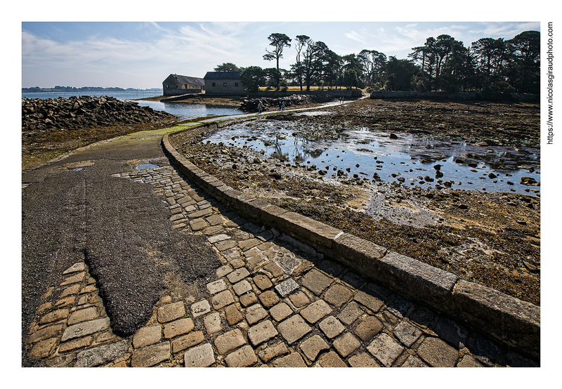 Île de Berder, un bout du monde de Bretagne