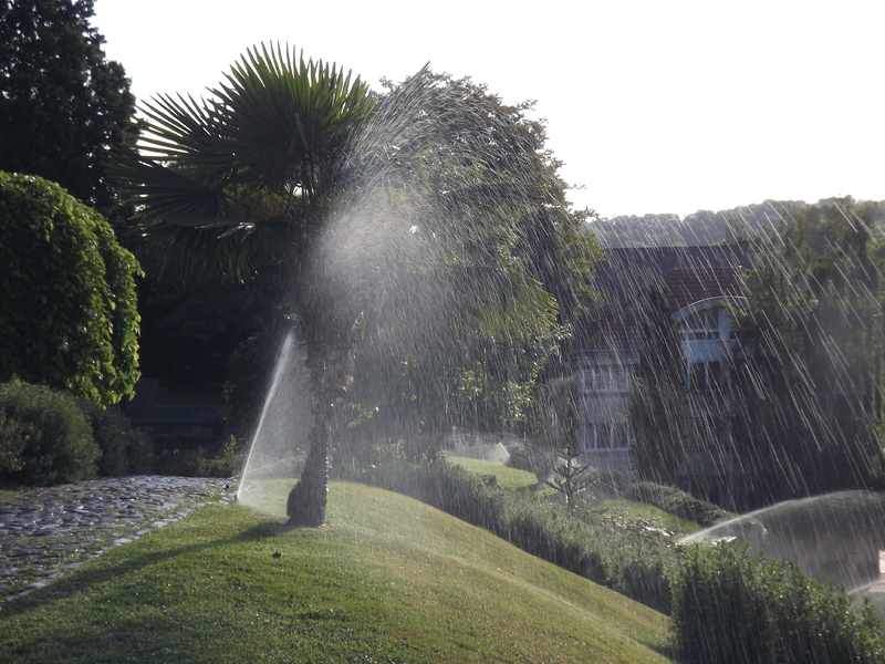  Les bienfaits de la douche, au jardin des Tanneurs Metz 