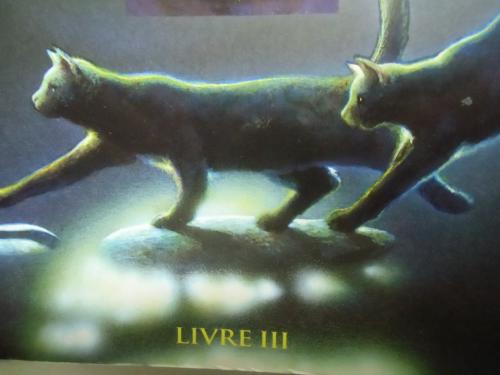 Clan des Etoiles