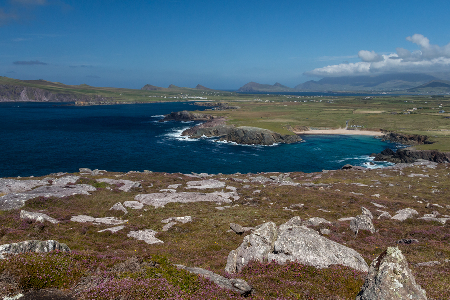 Clogher head
