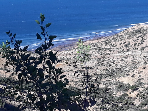 Vue sur l'océan