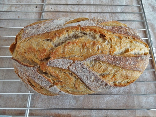 Bientôt l'ouverture d'une boulangerie artisanale à Montliot...