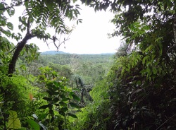 Equateur - Amazonie