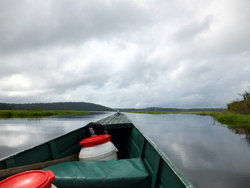 Marais de Kaw