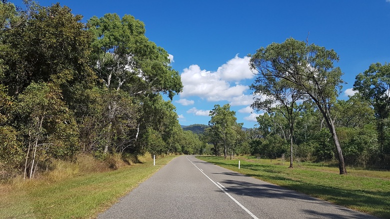 29 Juillet 2019 - Paluma National Park & Forest Beach