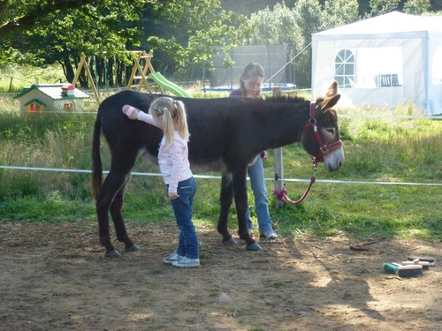 Stage été du 2 au 6 juillet