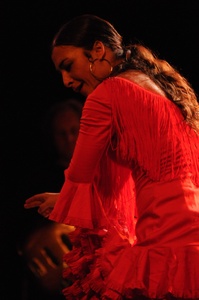 Arte Flamenco - Mont de Marsan