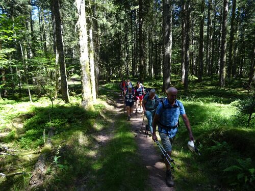 "Vosges 2022 - Après-midi du 11 juillet 2022 - Etang du Devin-Longemer"