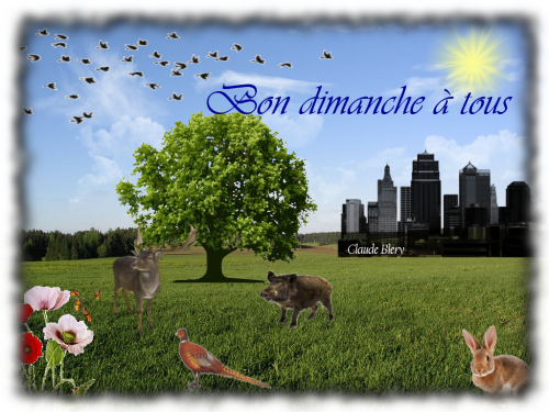 Facebook 4