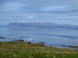 16 juin, de Djúpidalur à Tálknafjörður