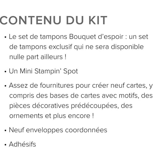 Kit "Bouquet d'espoir" de Paper Pumpkin...