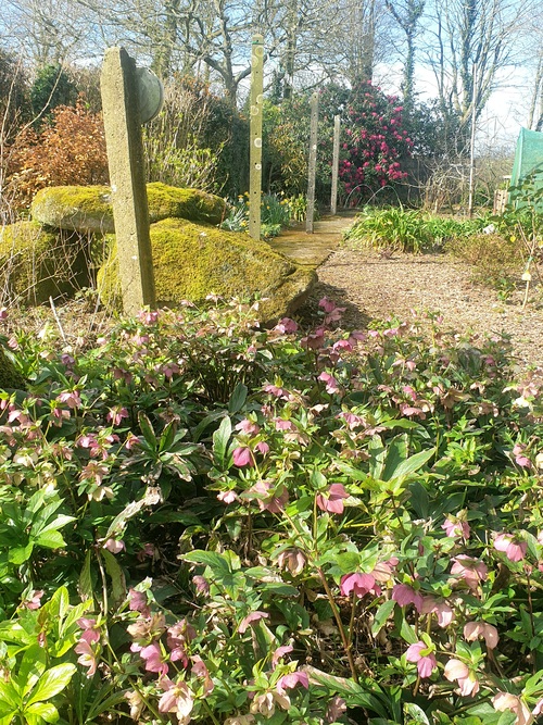 Visite d’un jardin de Camelias